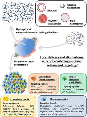 Local Delivery and Glioblastoma: Why Not Combining Sustained Release and Targeting?